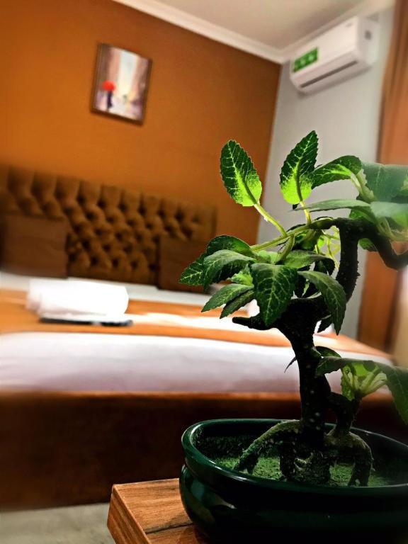 تبليسي Geo Hotel المظهر الخارجي الصورة